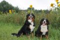 anton-u-joki-2-geburtstag