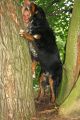 antons-2-geburtstag-6