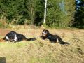 buntenbock---chillen