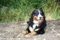 das-geburtstagskind-anton-2-jahre-1